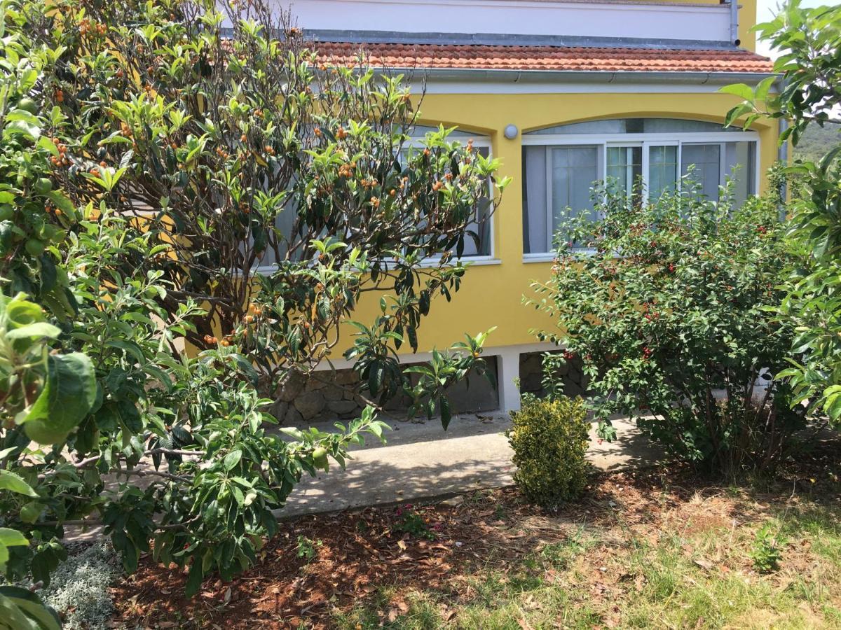 Apartments With A Parking Space Bozava, Dugi Otok - 8108 Exterior photo