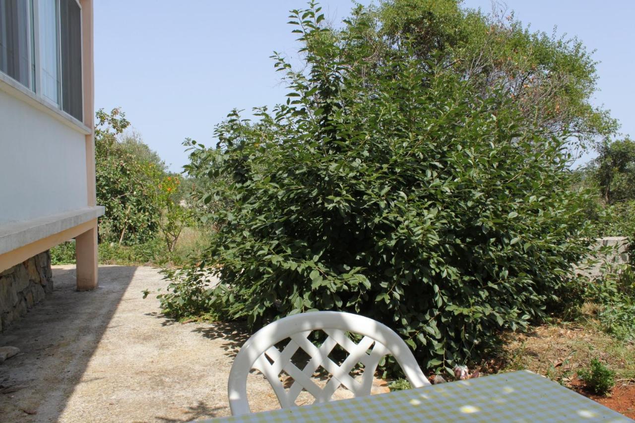 Apartments With A Parking Space Bozava, Dugi Otok - 8108 Exterior photo